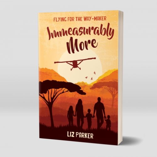 Immeasurably More Book