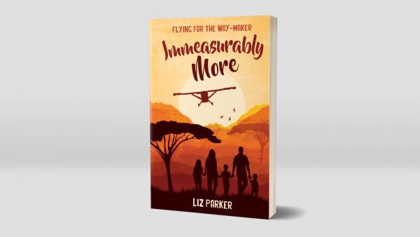 Immeasurably More Book