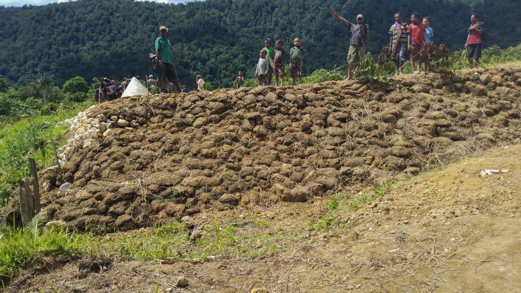 The Dimanbil community built their own retaining wall for their airstrip (credit: Terry Fahey) 