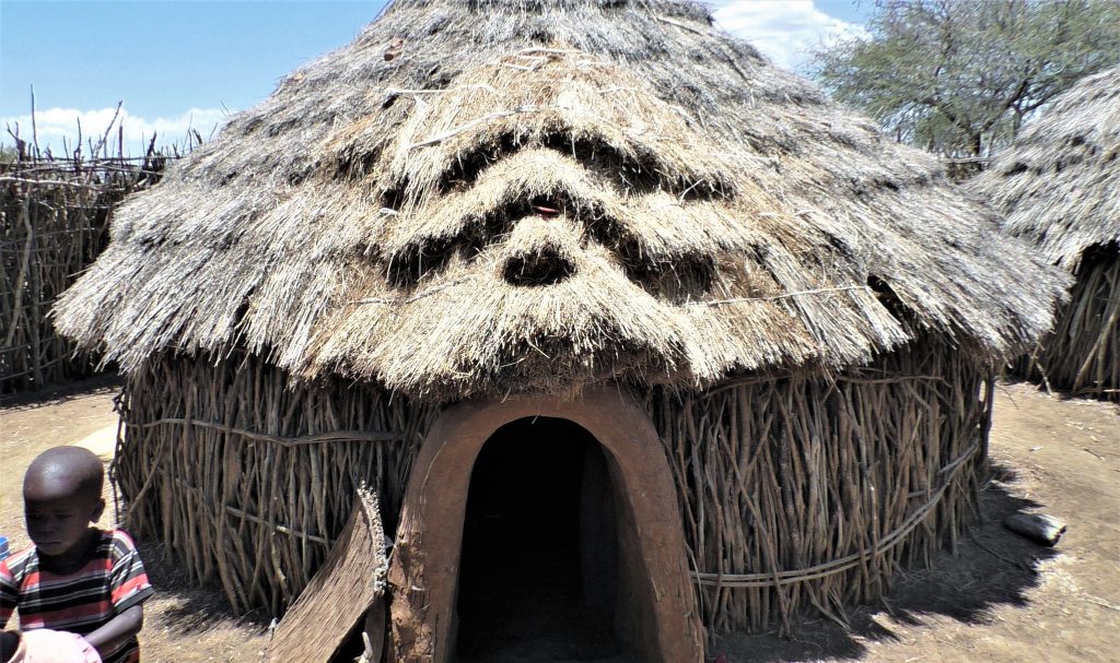 Many of Akigyeno’s farming families live in straw huts like these (credit: Jill Vine)